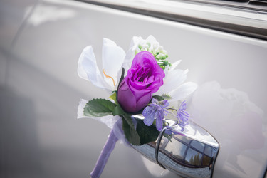 Similar image 21134600