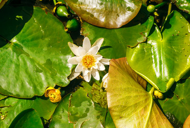 Similar image 21139195