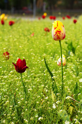 Similar image 21139196