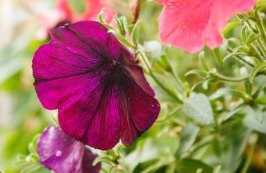 Similar image 21139199