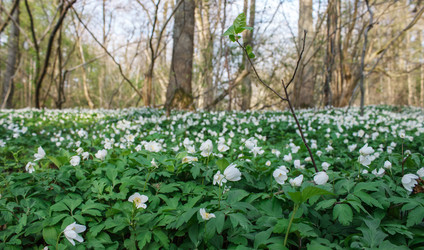 Similar image 21139204