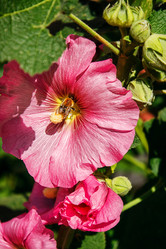 Similar image 21139205