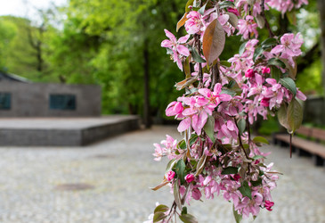 Similar image 21139206