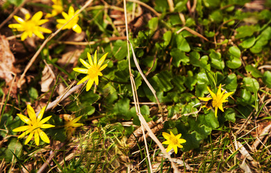 Similar image 21139210