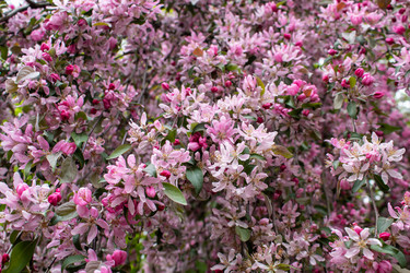 Similar image 21139211