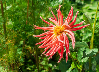 Similar image 21144782