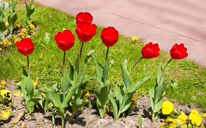 Similar image 21144796