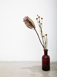 Similar image 21135984