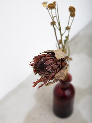 Similar image 21135985