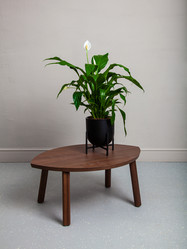 Similar image 21135997