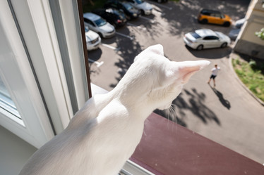 Similar image 21133697