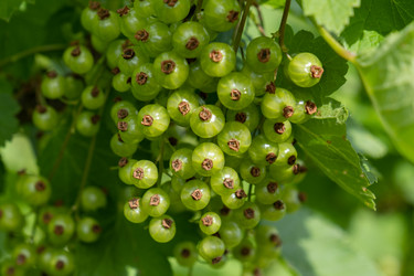 Similar image 21133700