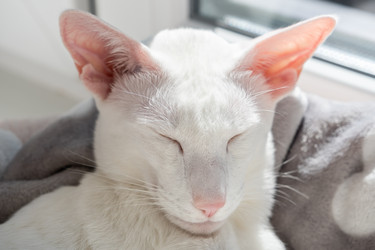 Similar image 21133703