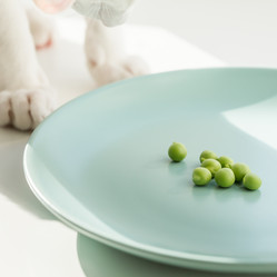 Similar image 21133706