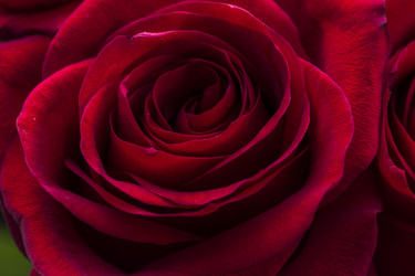 Similar image 21133707