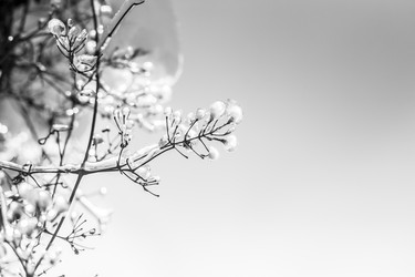 Similar image 21133718