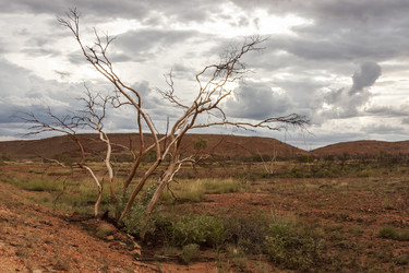 Similar image 21133719