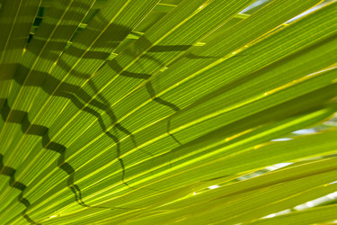 Similar image 21133722