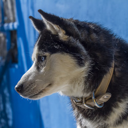 Similar image 21133727