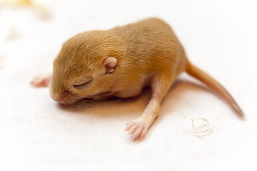 Similar image 21133976