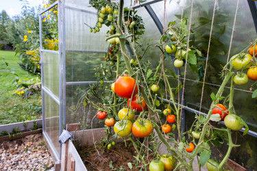 Similar image 21133981