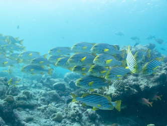 Similar image 21133982