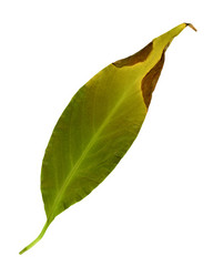 Similar image 21177463