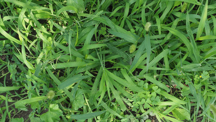 Similar image 21177470