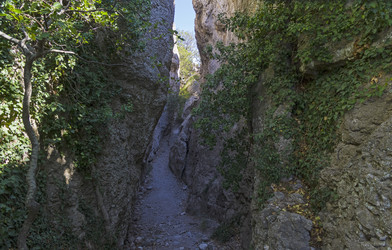 Similar image 21133731