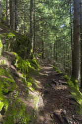 Similar image 21133739