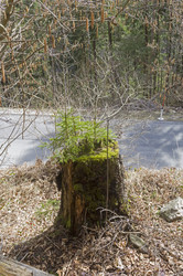 Similar image 21133740