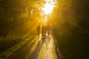 Similar image 21133742