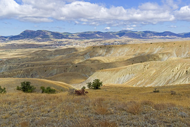 Similar image 21133535