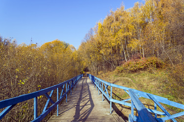 Similar image 21133539