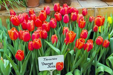 Similar image 21133542