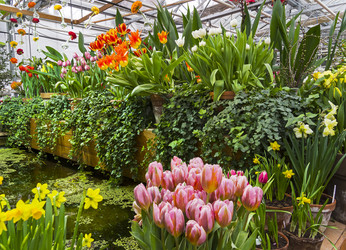 Similar image 21133543