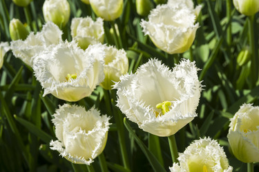 Similar image 21133545