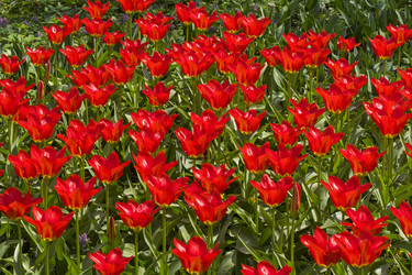 Similar image 21133546