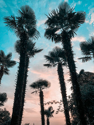 Similar image 21134609