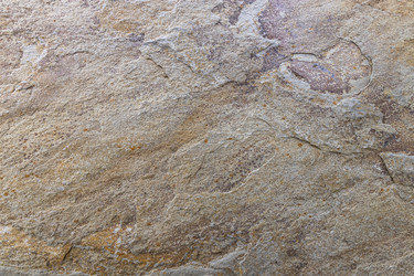 Similar image 21137226