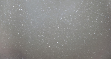 Similar image 21177506