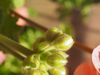 Similar image 21177517