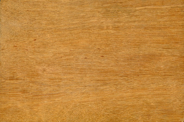 Similar image 21177525