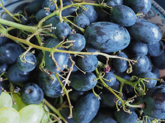 Similar image 21177530