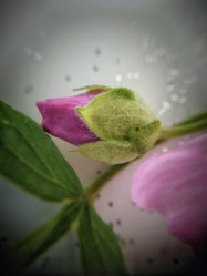 Similar image 21136533