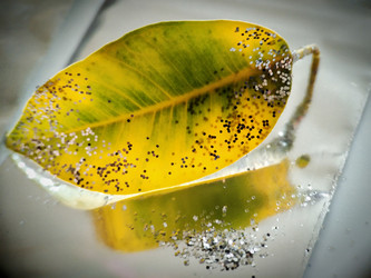 Similar image 21136535