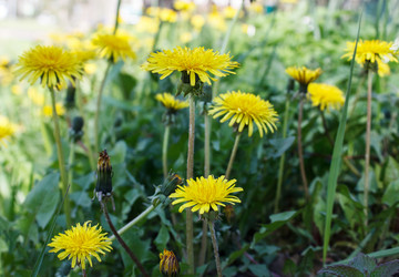 Similar image 21144488