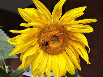 Similar image 21144490