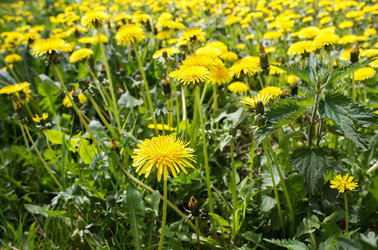 Similar image 21144496