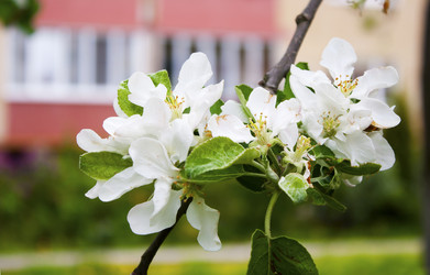 Similar image 21144501